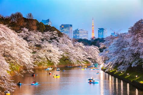 Top Things to Do in Tokyo .